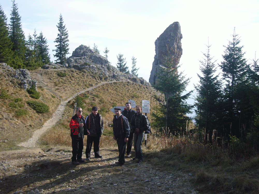 Caciula dorobantului